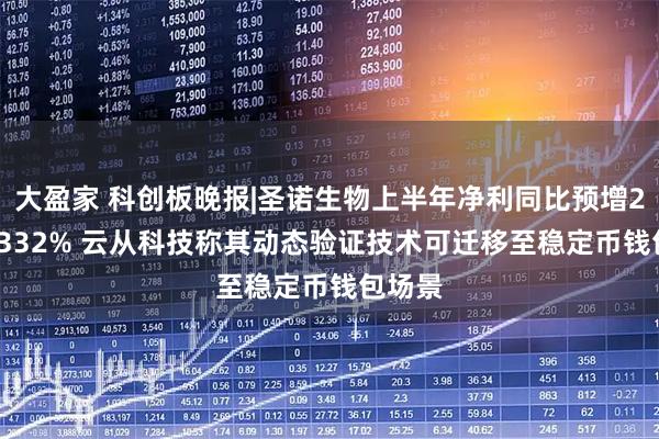 大盈家 科创板晚报|圣诺生物上半年净利同比预增254%-332% 云从科技称其动态验证技术可迁移至稳定币钱包场景
