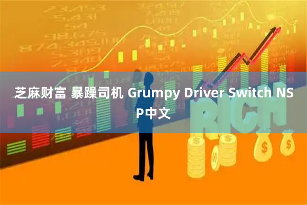 芝麻财富 暴躁司机 Grumpy Driver Switch NSP中文